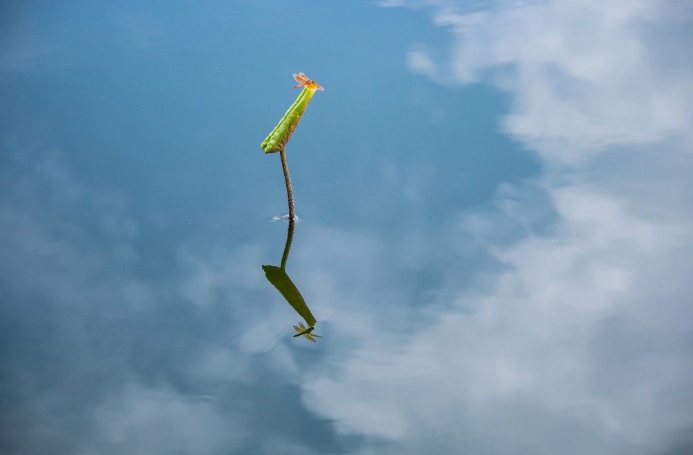 Photograph by son dam minh