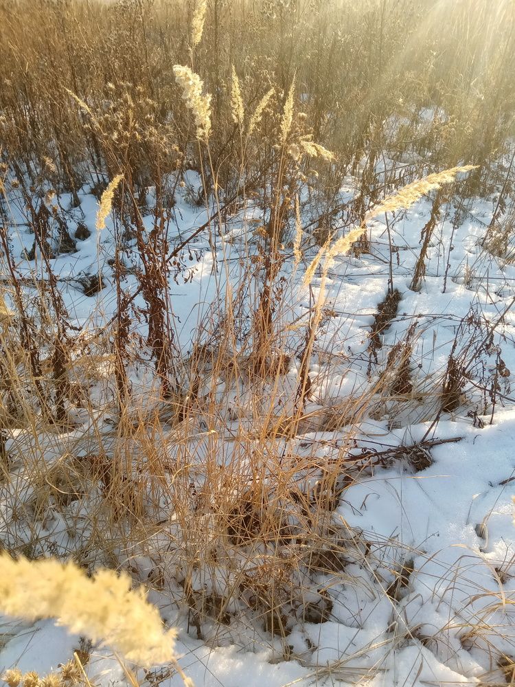 Photograph by Мария