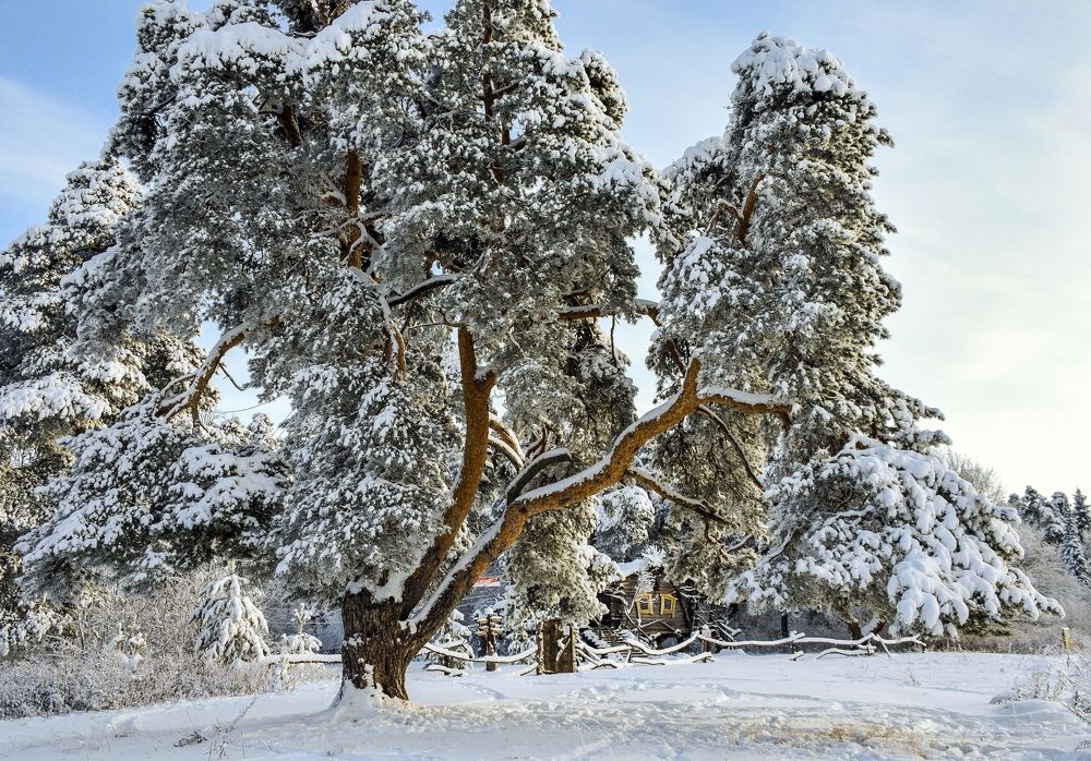 Жила зима в избушке