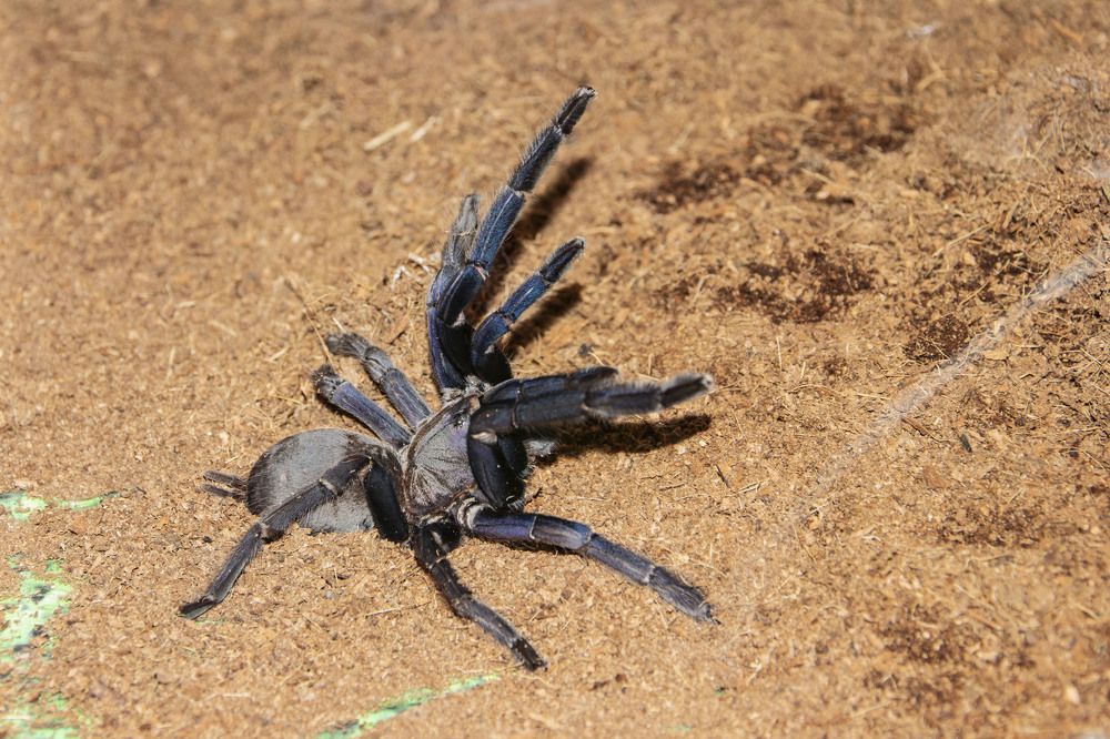 Photograph by Алексей Логинов