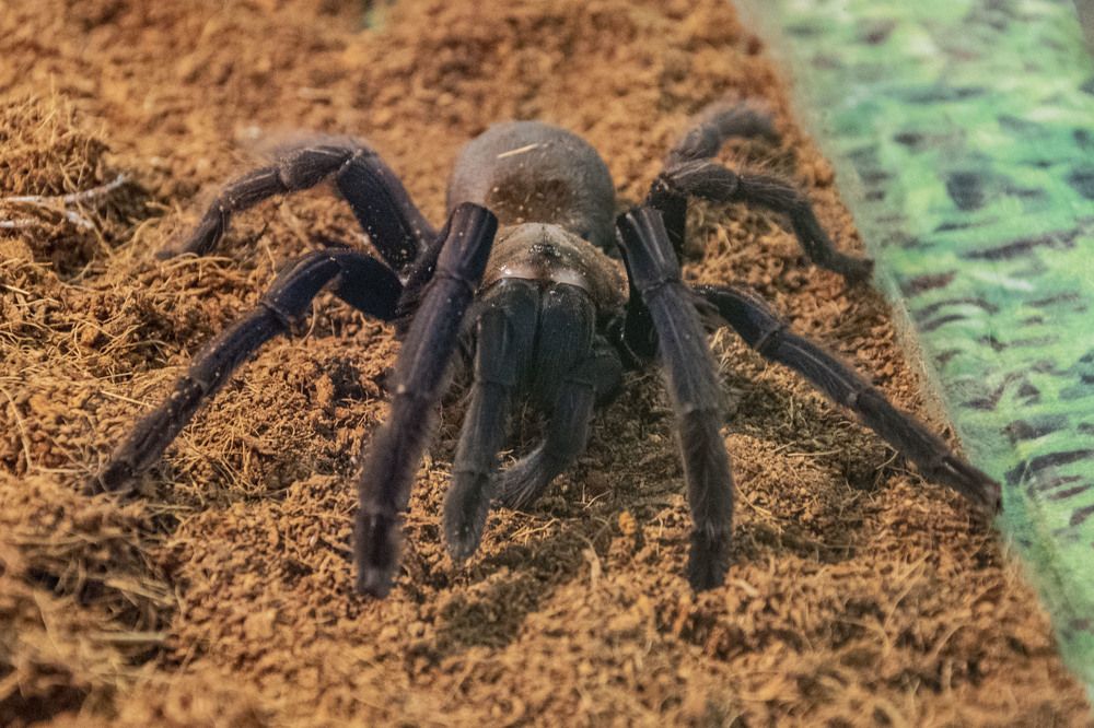 Photograph by Алексей Логинов