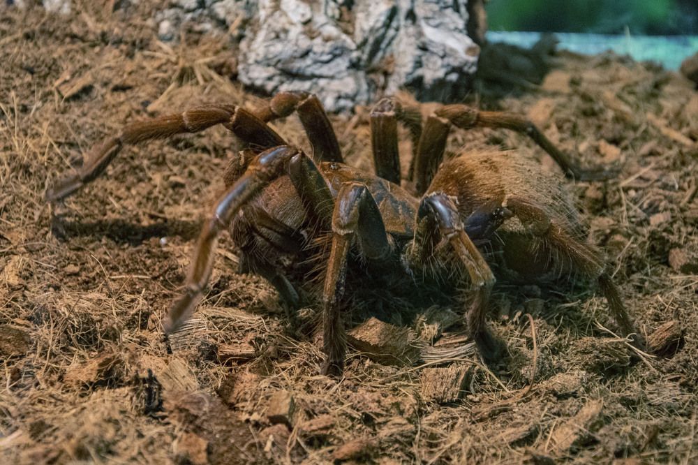 Photograph by Алексей Логинов