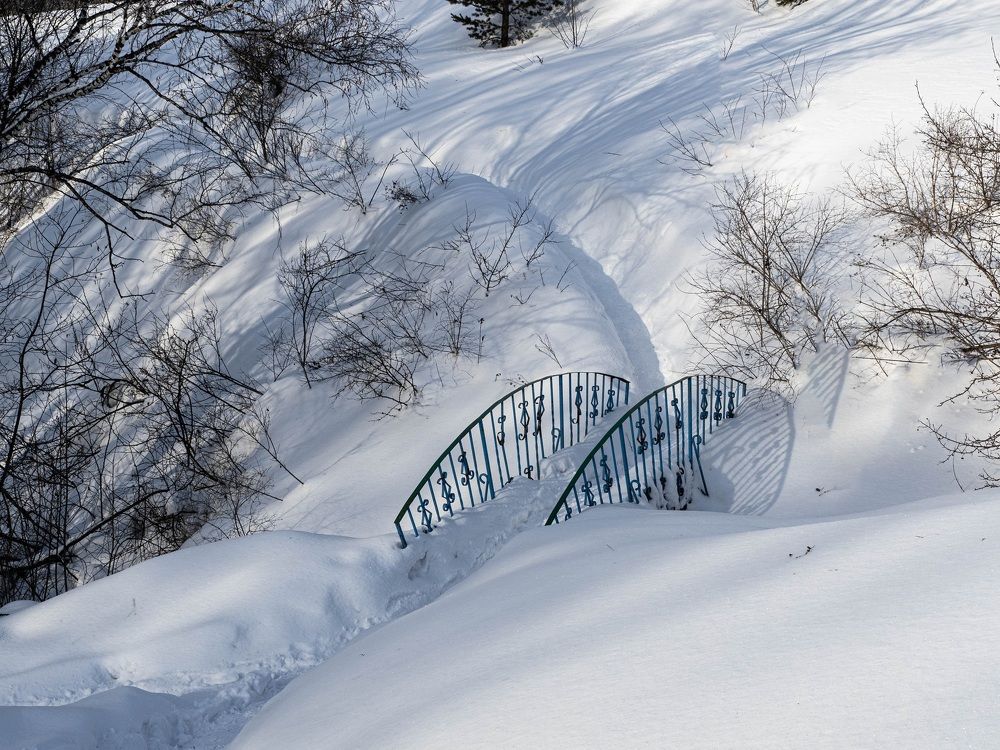 Photograph by Геннадий Покидов