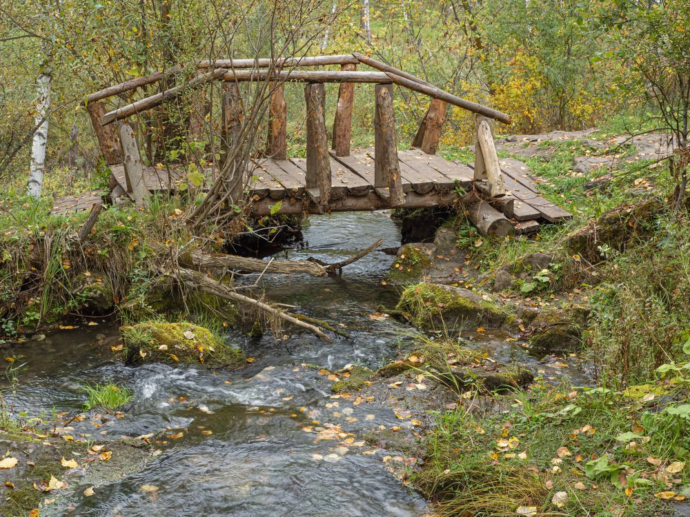 Photograph by Геннадий Покидов