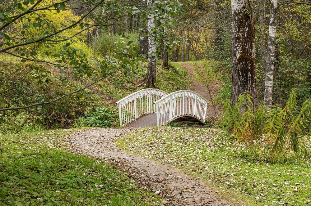 Photograph by Геннадий Покидов