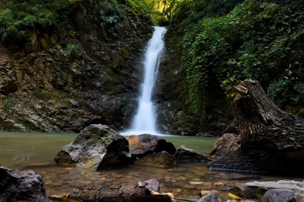 Photograph by seyyed mohammad andy