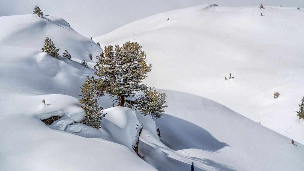 Фотография автора ROMAN Wieckowski