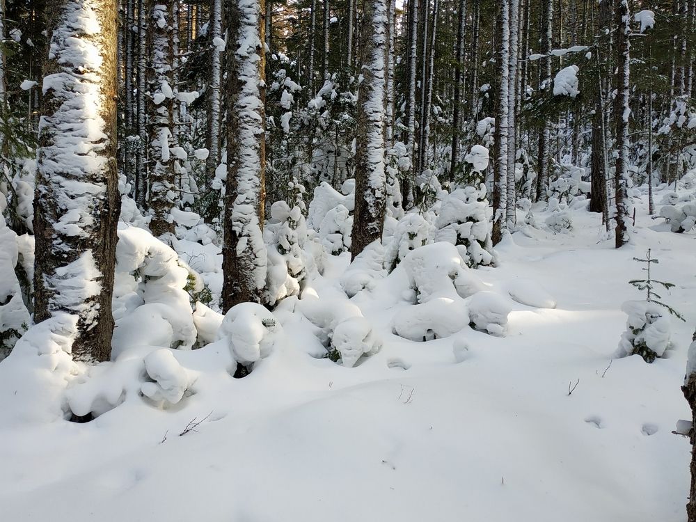 Фотография автора Ирина
