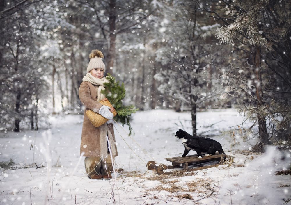 Фотография автора Шутенкова Евгения