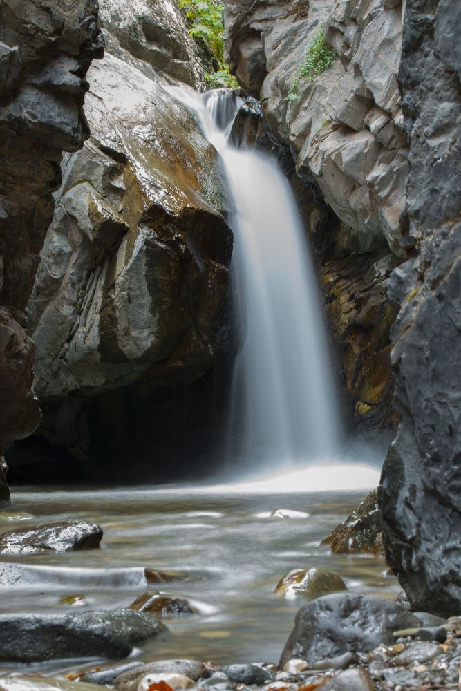 Photograph by Farhood Amni