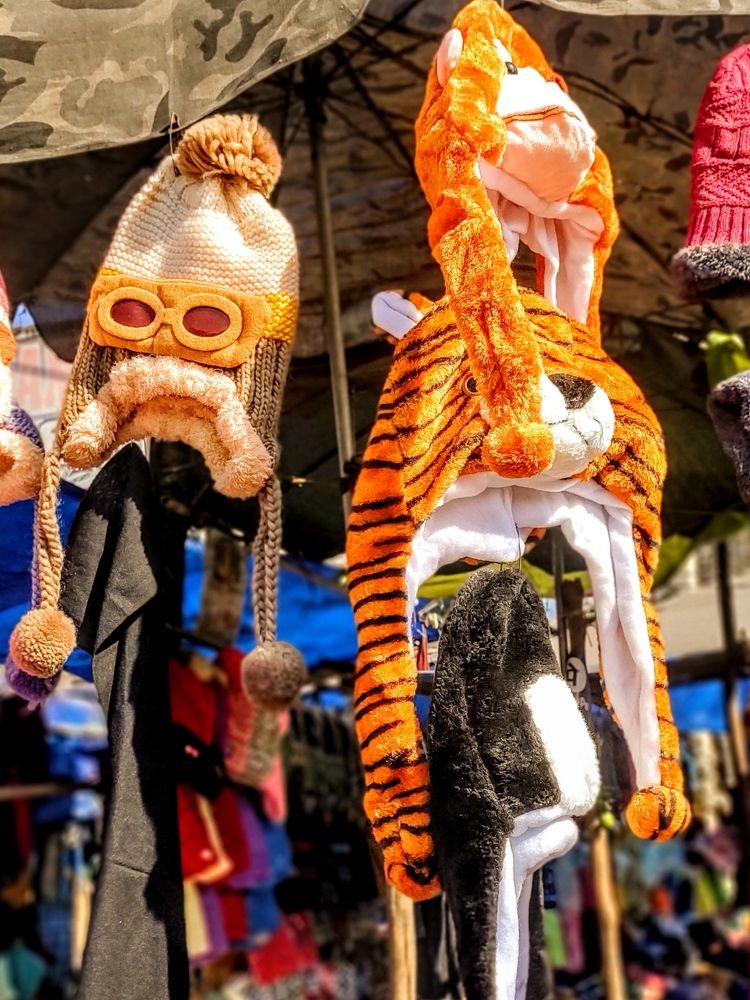 Фотография автора Santanu Dasgupta