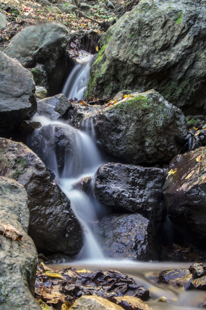 Photograph by Farhood Amni