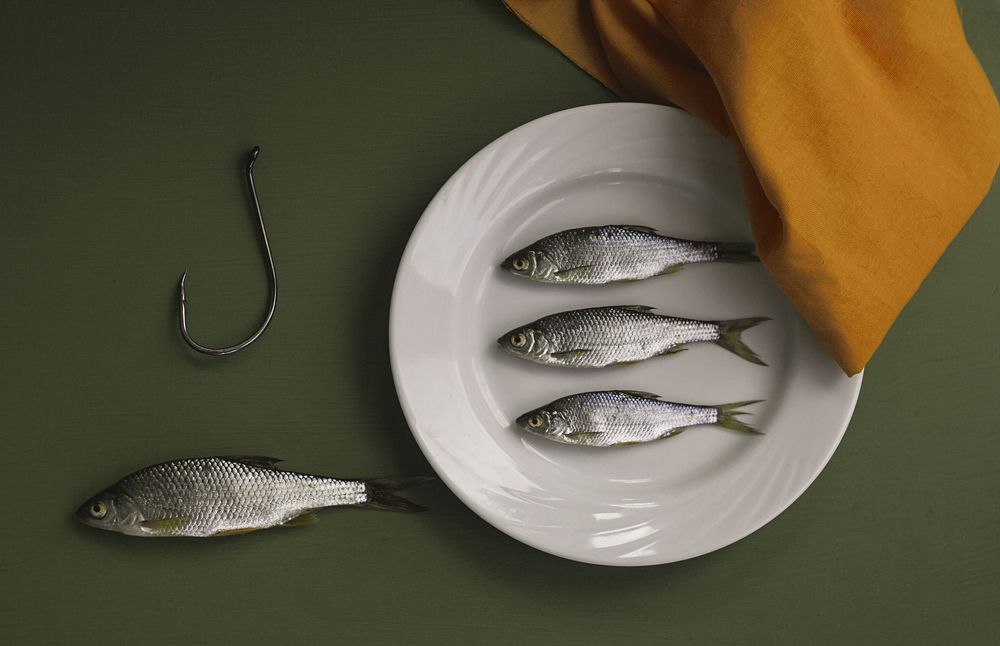 Photograph by Алексейчик Ольга