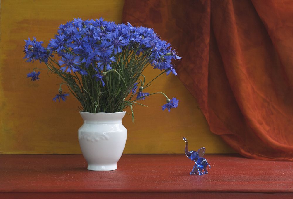 Photograph by Алексейчик Ольга