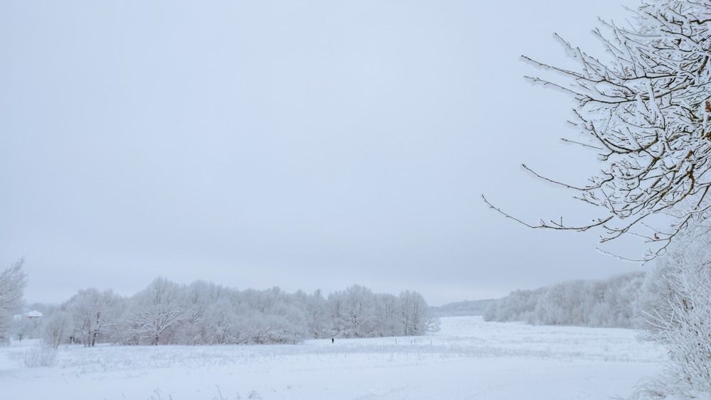 Photograph by Ирина Львова