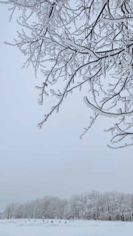 Photograph by Ирина Львова