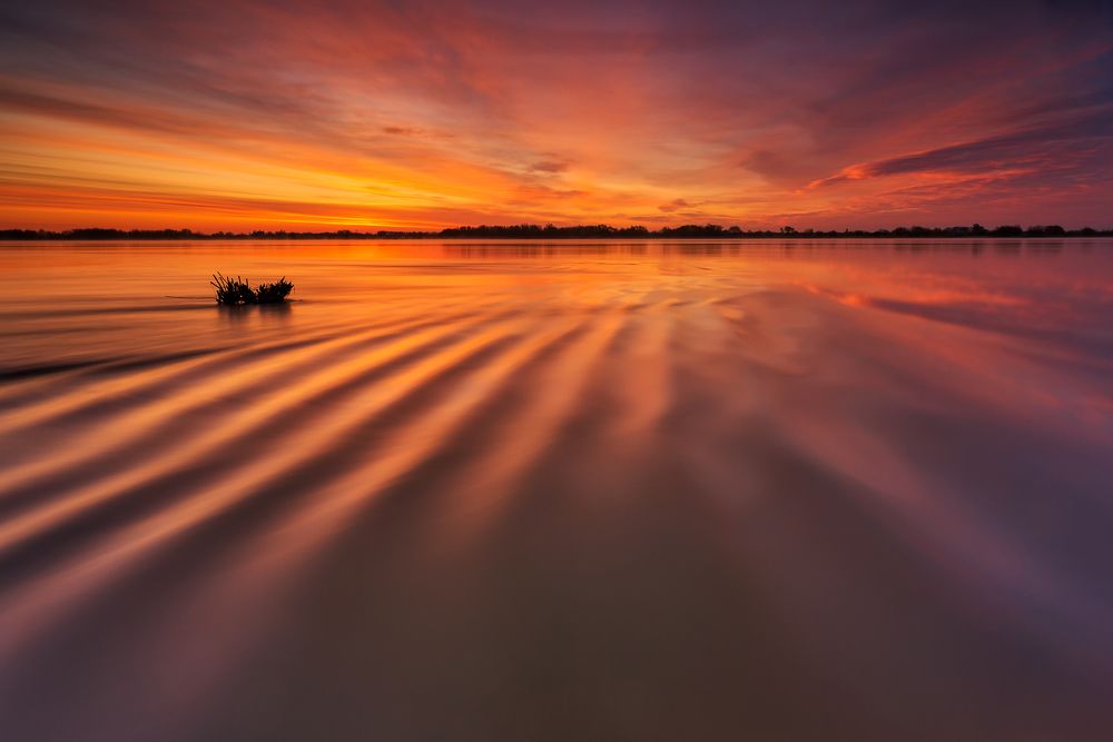 Photograph by Roman Hudzik