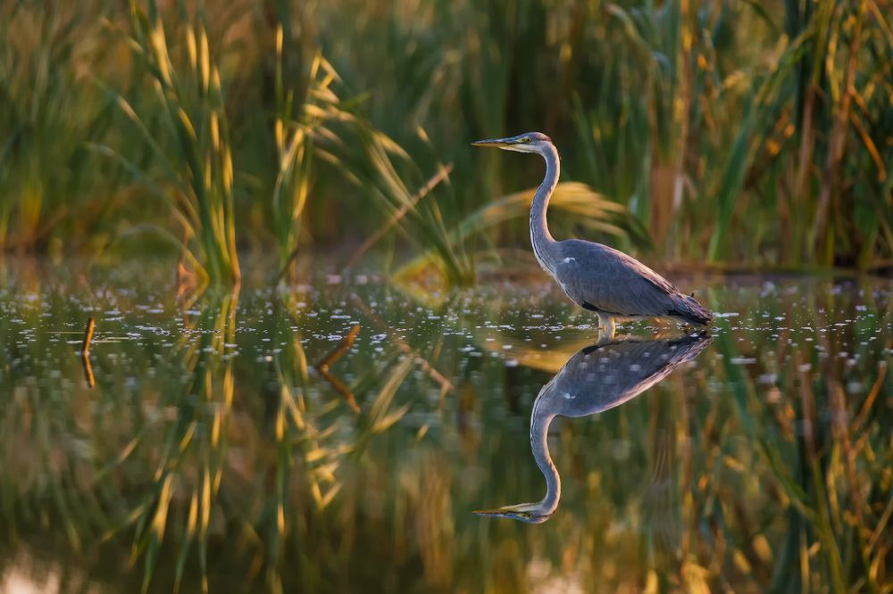 Photograph by Roman Hudzik