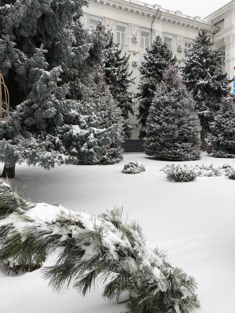 Photograph by Helena Lugowska