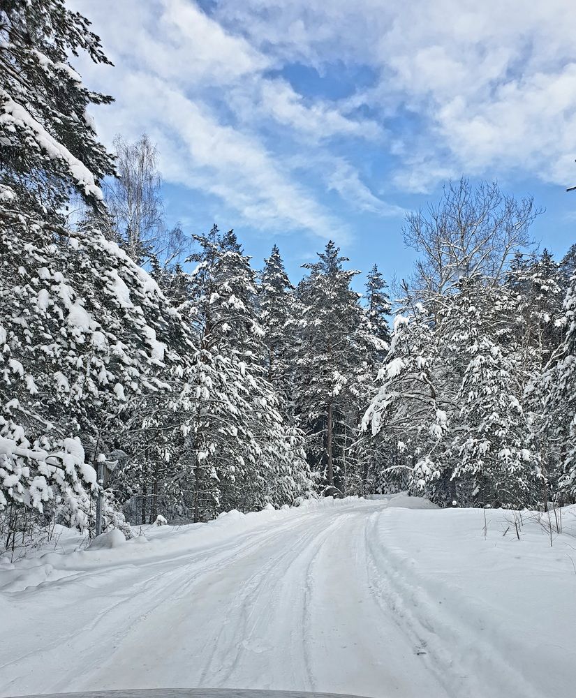 Photograph by Наталья Пагоцкая