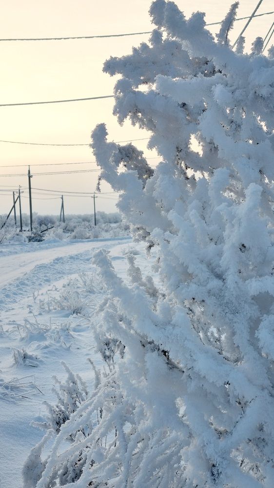 Photograph by Ирина Герлин