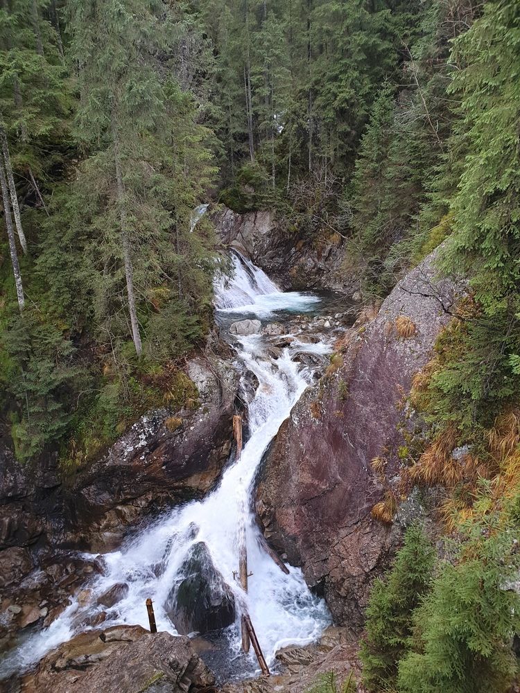 Photograph by Наталья Пагоцкая