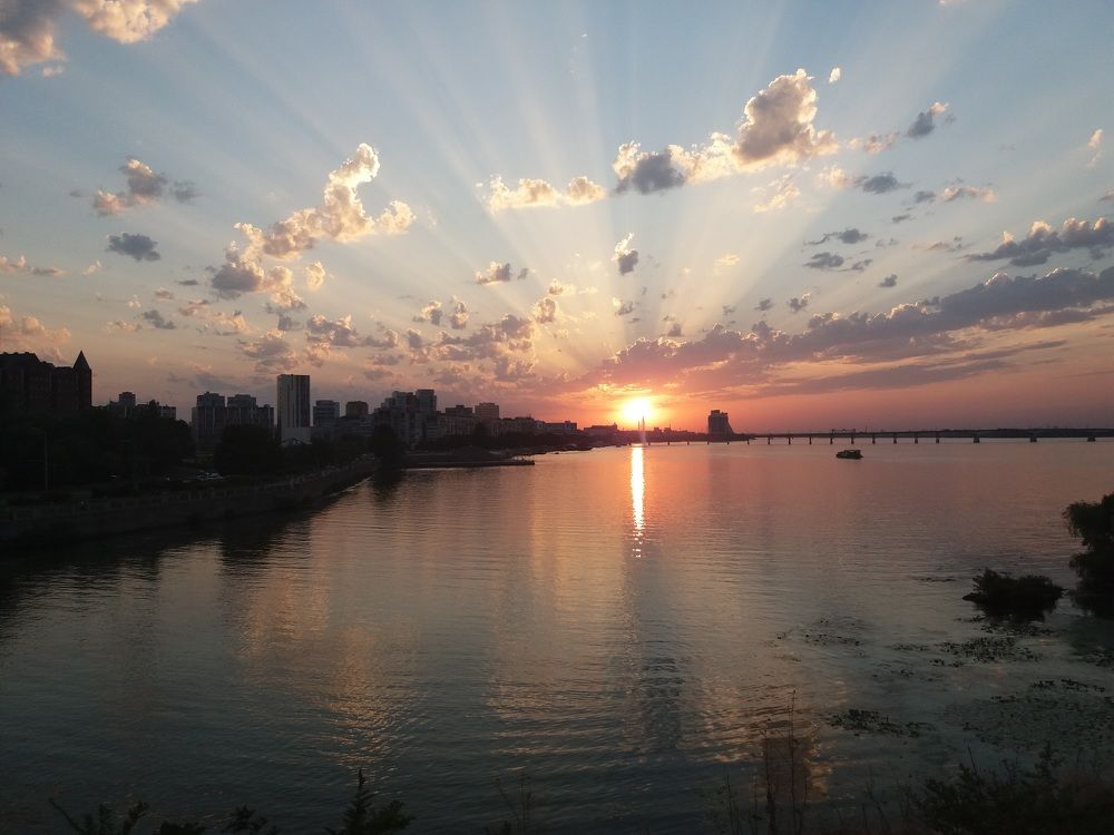 Photo #6948866