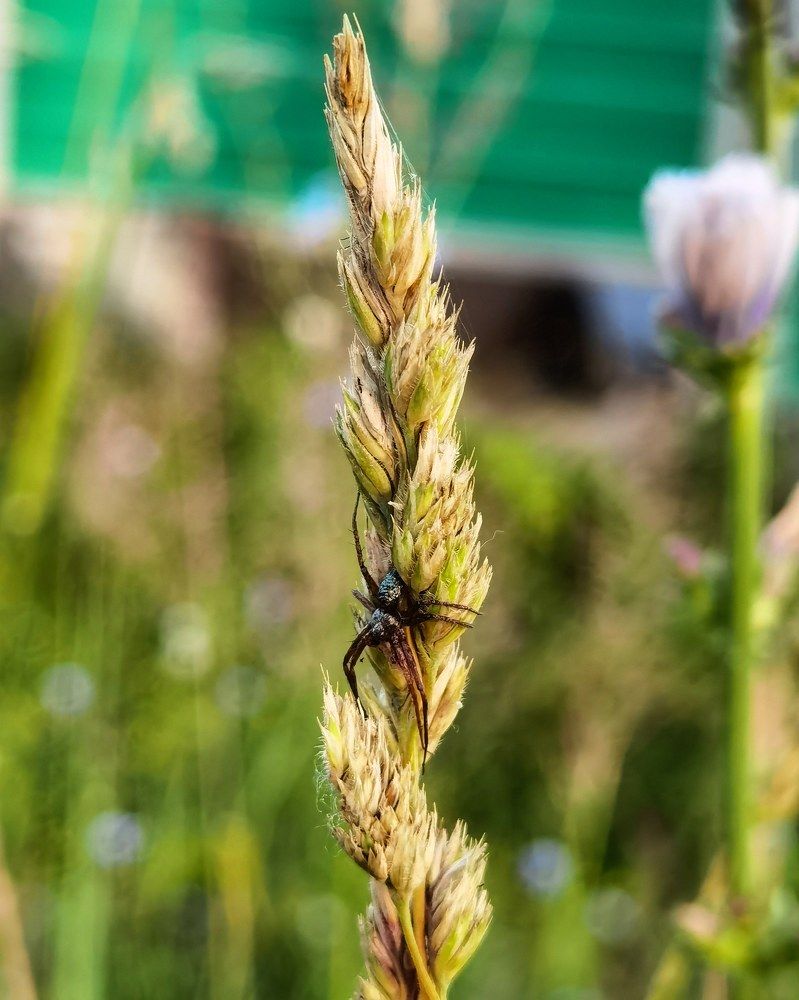 Photograph by Олика