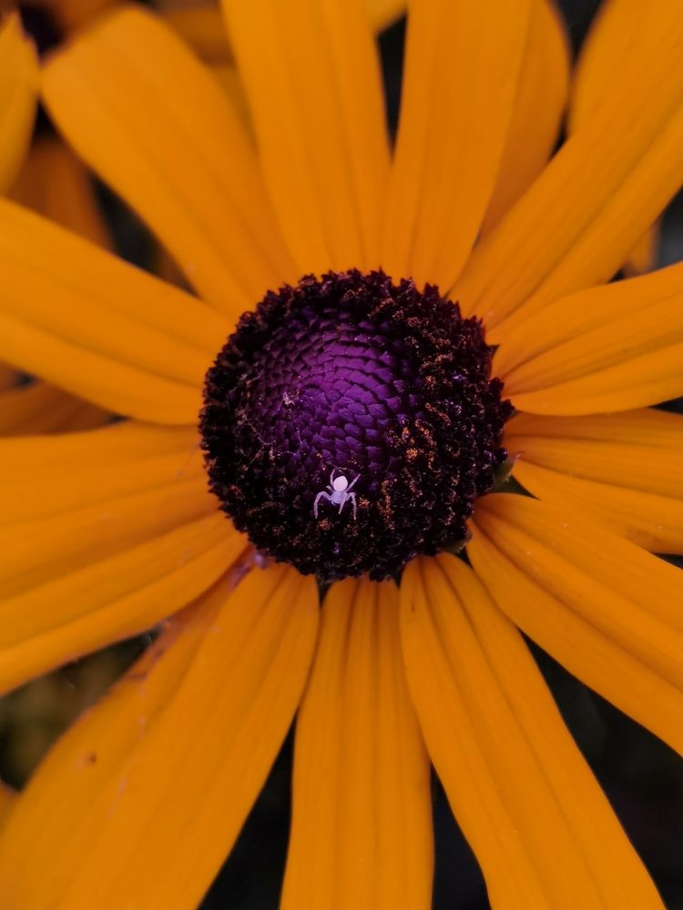 Photograph by Олика