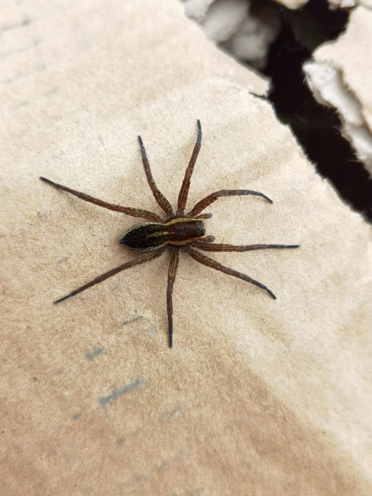 Photograph by Олика