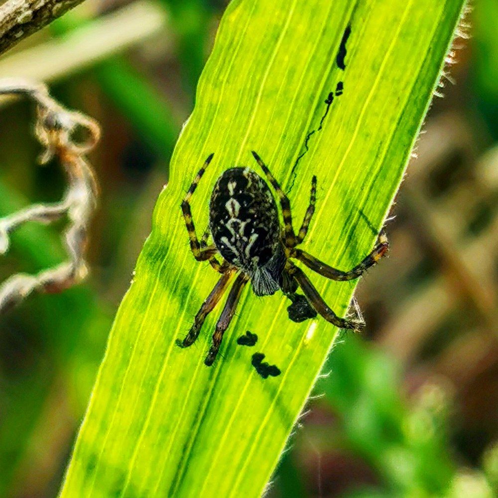 Photograph by Олика