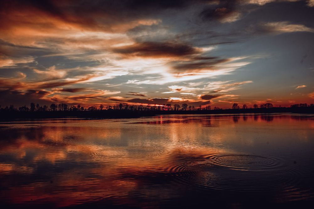 Photograph by Алена Кайбышева