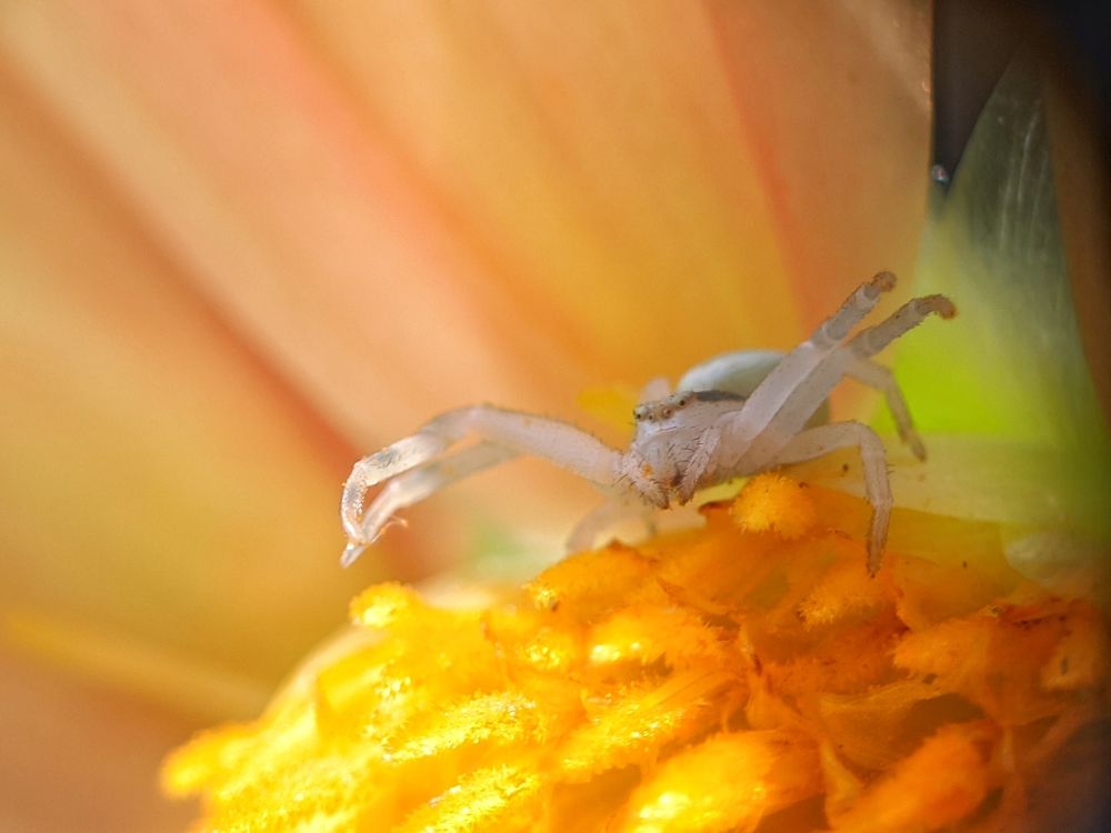 Photograph by Денис Пономарёв