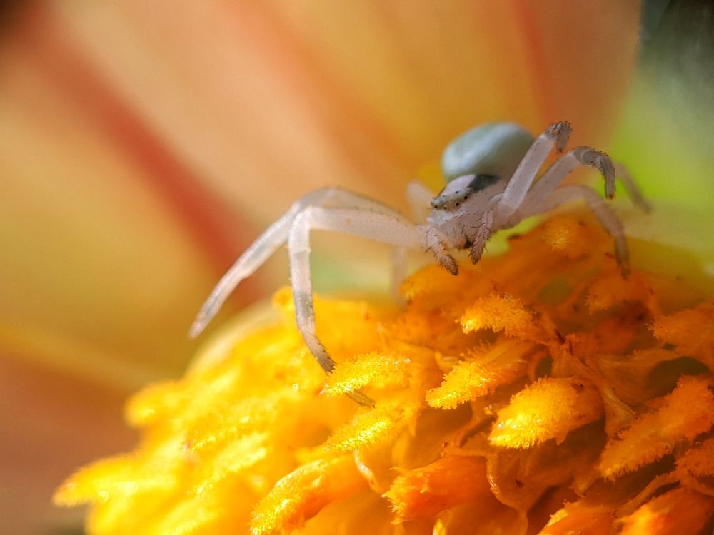 Photograph by Денис Пономарёв