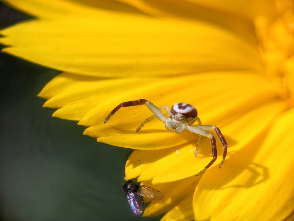 Photograph by Денис Пономарёв