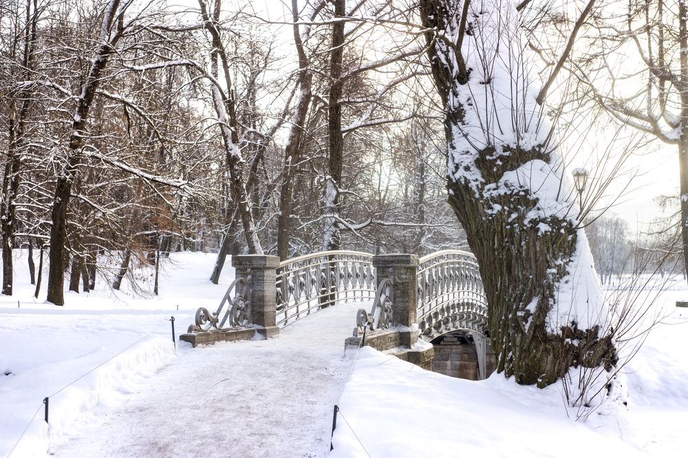 Photograph by Ерохина Светлана Юрьевна