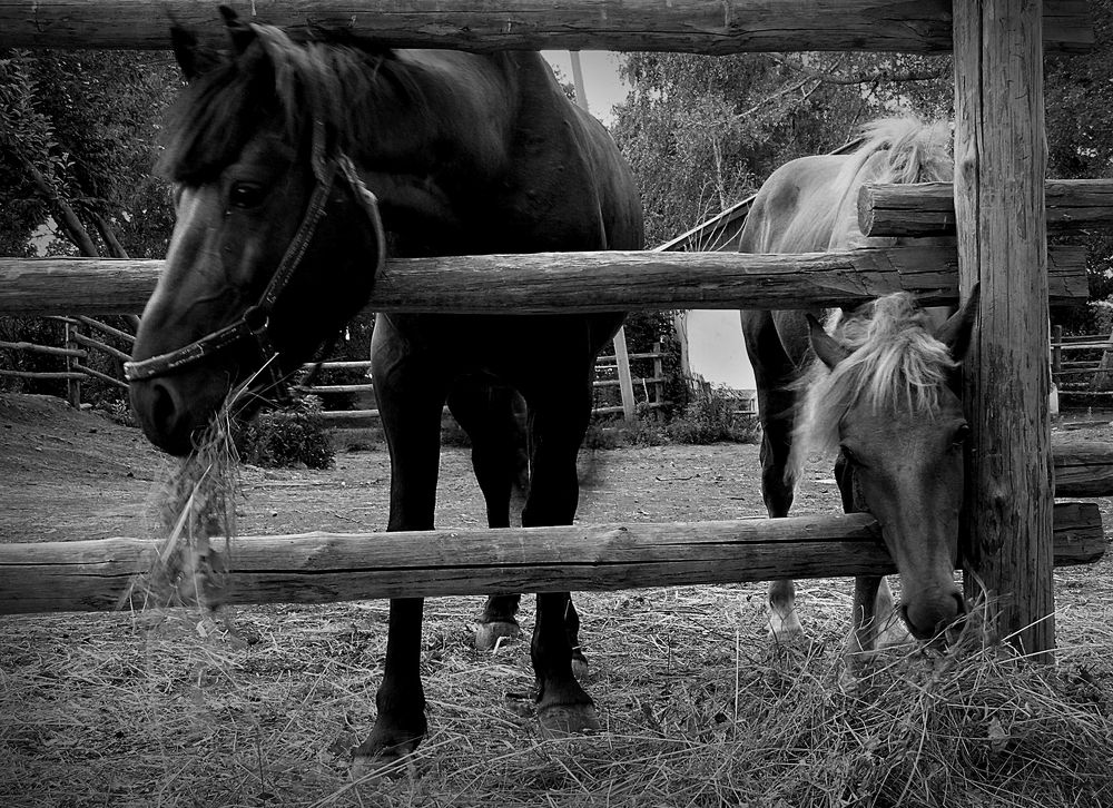 Photograph by Игорь Быков