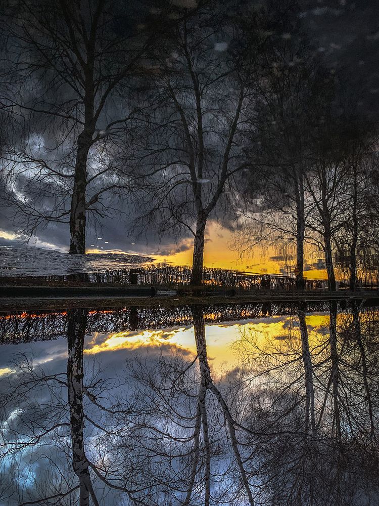 Photograph by Яна Полякова