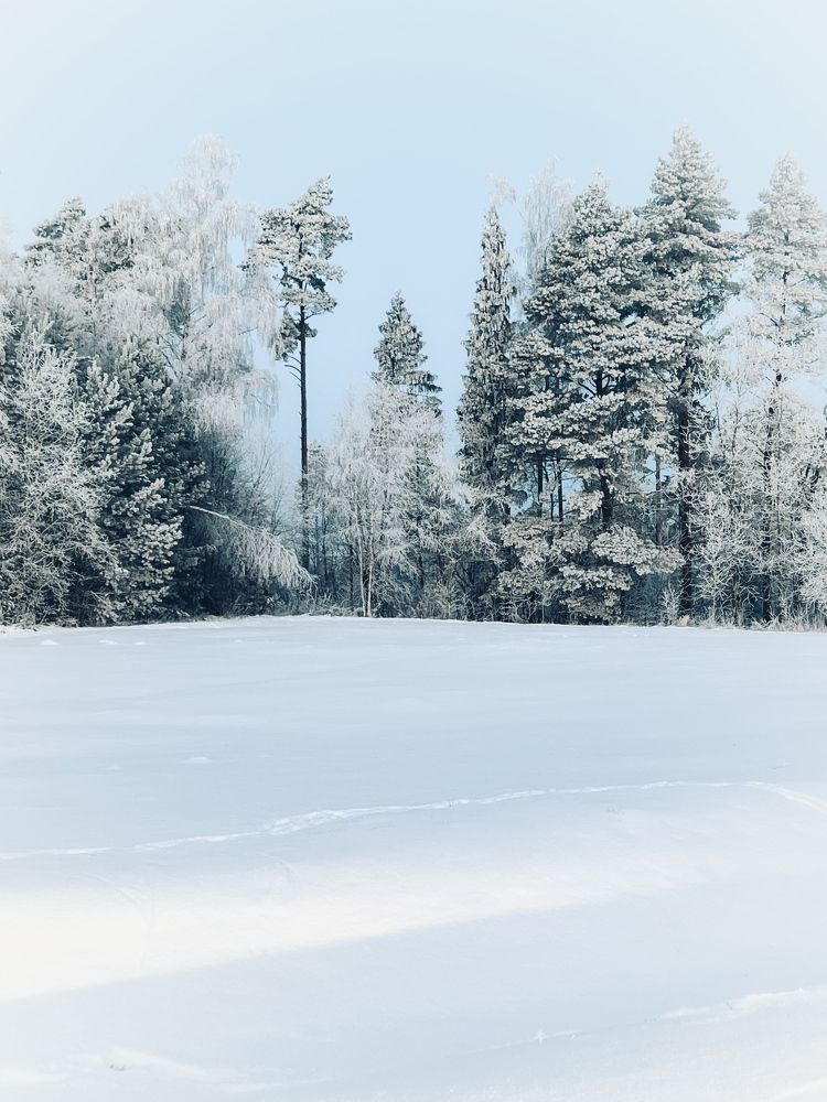 Photograph by Алексей Большаков