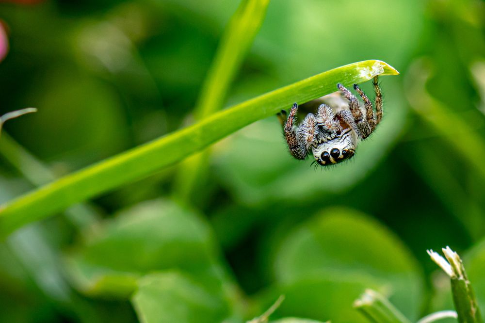 Photograph by Ellen Lichtenheldt