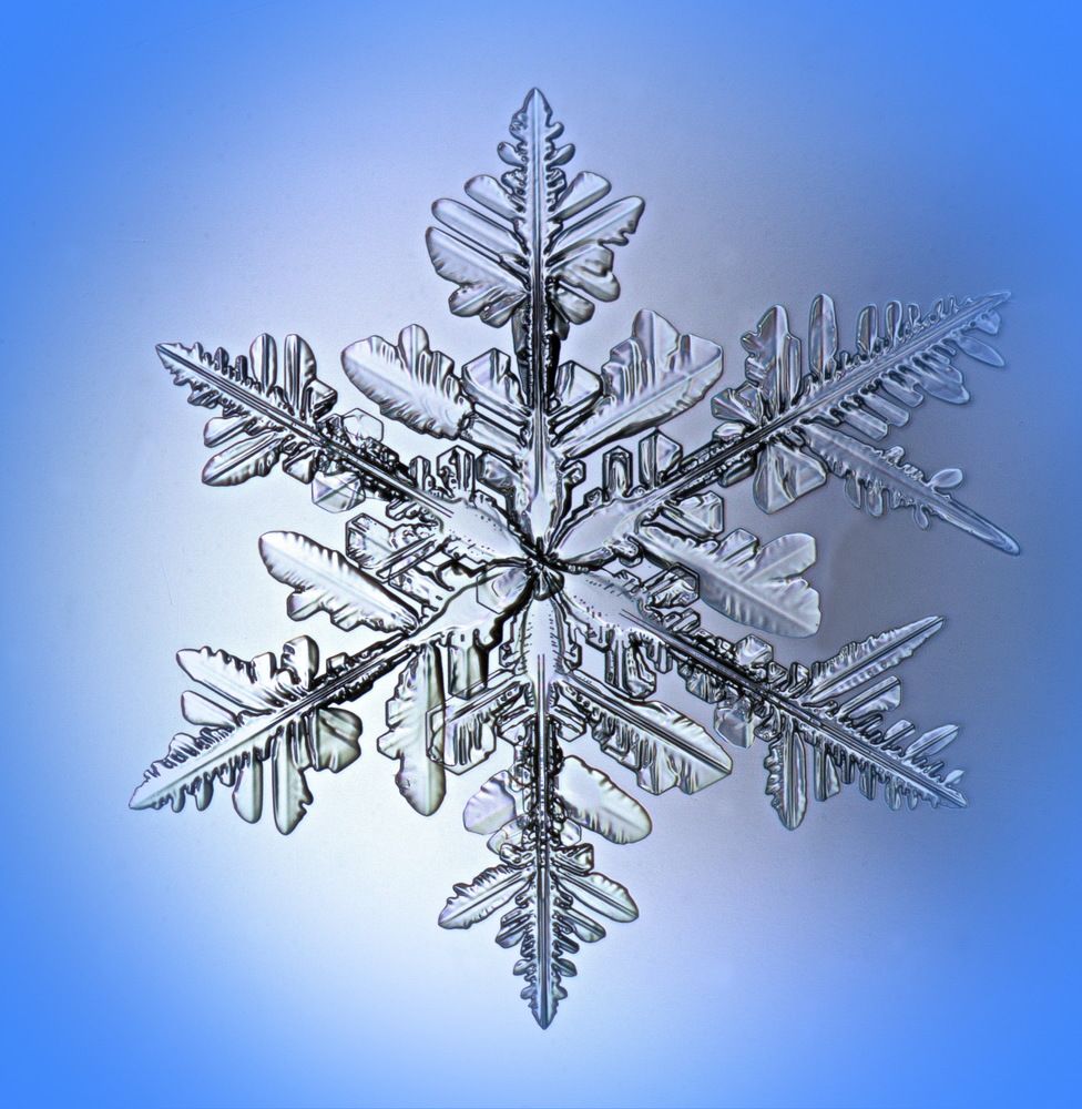 Снежинка декабря