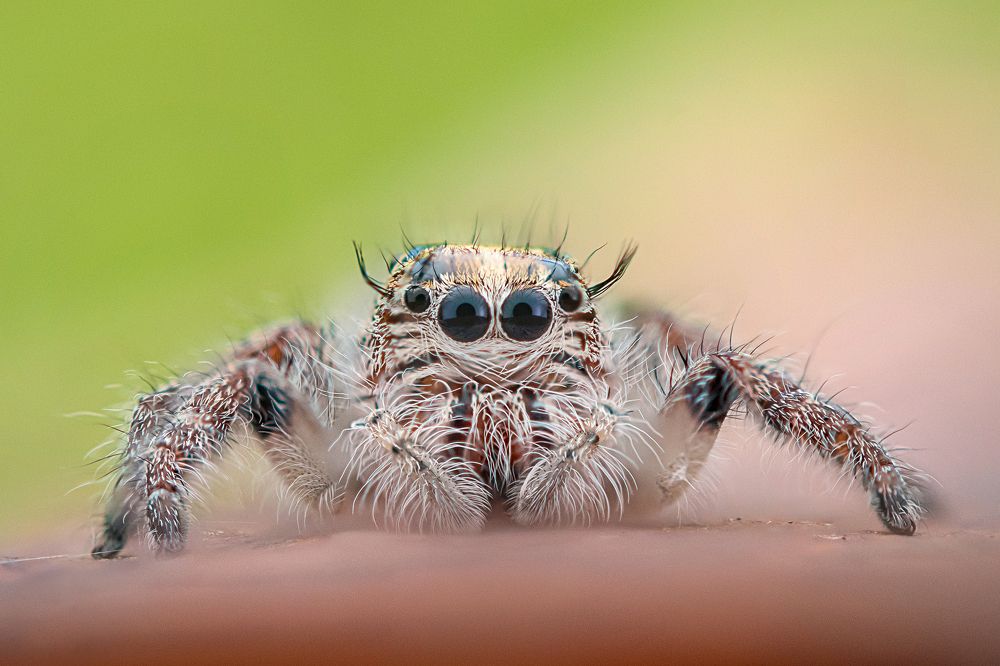 Photograph by Nicholas Ng