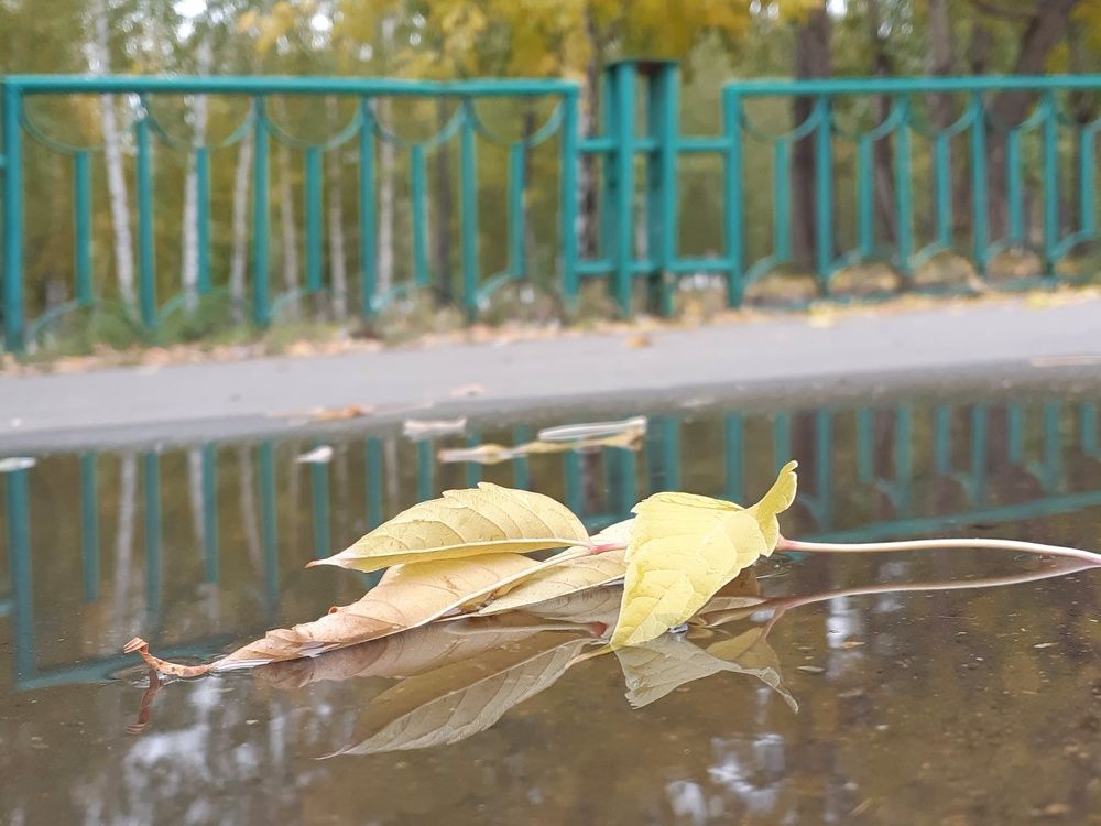 Фотография автора Марина Маллаева