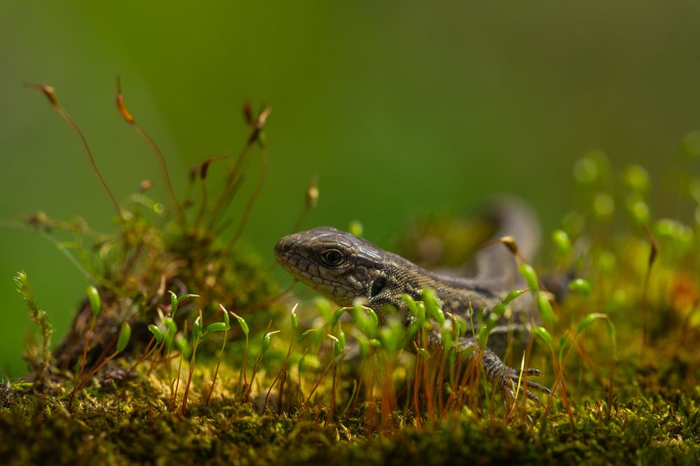 Путешествие