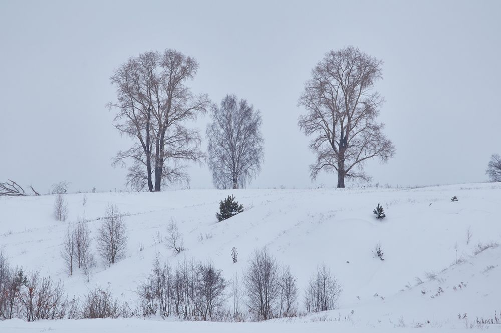Фотография автора Сергей Расторгуев