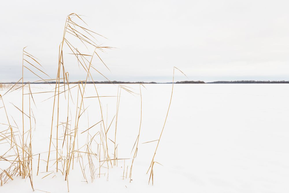 Photograph by Юрий Пузанов