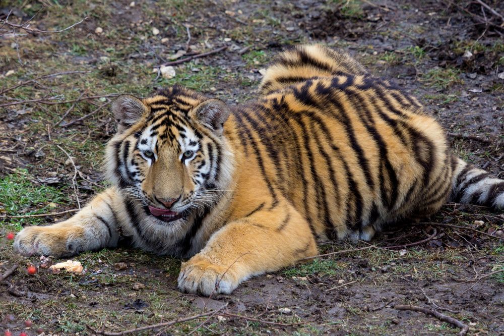 Photograph by Юлия Шумляева