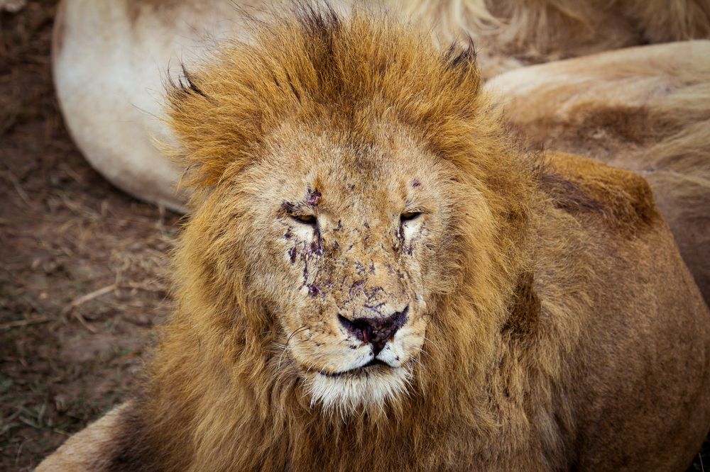 Photograph by Юлия Шумляева