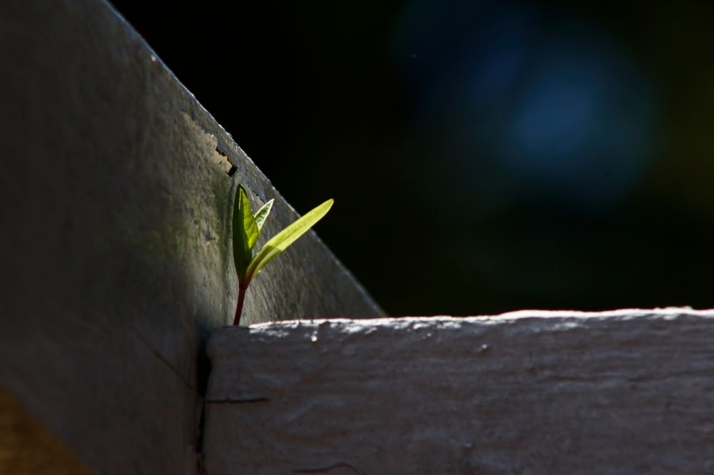 Photograph by Werner