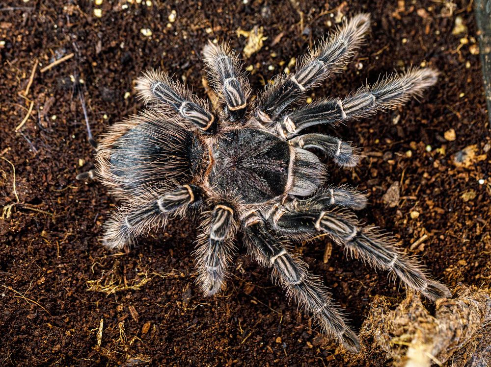 Photograph by Людмила Аксенова